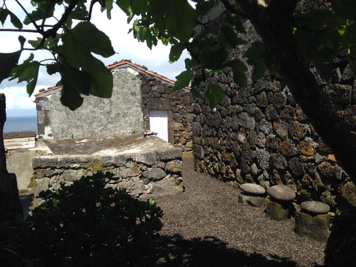Casa Do Castanheiro Villa Santo Antonio  Exterior photo